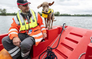 Hesse: abseiling, boating: rescue dogs practice for...
