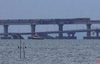 After a detonation on the Crimean bridge, divers should...