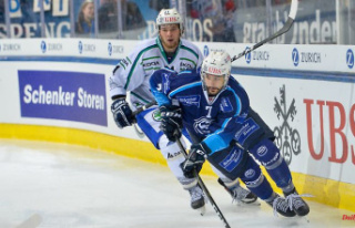 Athletes as “cannon fodder”?: Ice hockey professional...