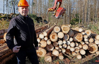 Saxony-Anhalt: Minister of Forestry Schulze is committed...