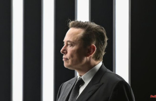 Board of Directors dissolved: Elon Musk makes himself...