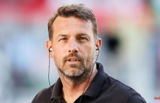 Bayern: 1. FC Nuremberg signed Weinzierl as the new...
