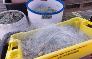 Close year for cod and herring ?: EU advises fishing...