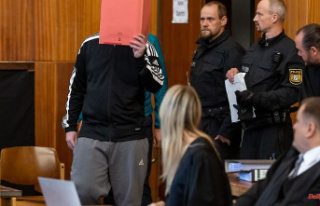 Bavaria: Psychiatrist considers murder suspect to...