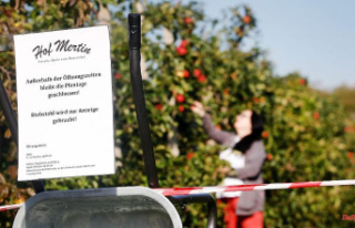North Rhine-Westphalia: Fruit thieves cause problems...