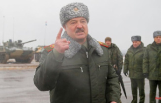 Weapons for civil defense: Belarus is arming itself