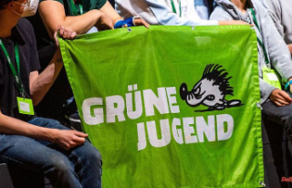 Baden-Württemberg: Green youth: against their own...