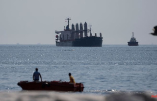 Despite Russia's blockade: Grain freighters should...