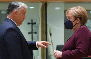 Ukraine talks with Putin: Orban sees Merkel and Trump...