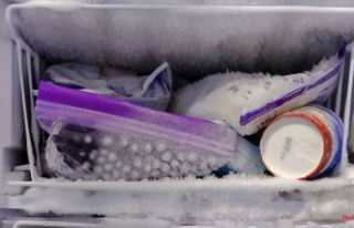 Too much ice costs energy: defrosting the freezer:...