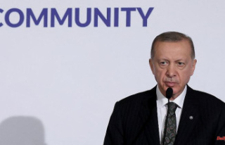 "Erdogan is a despot": Turkish President...