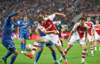 Two days after the European Cup: Cologne defy TSG...