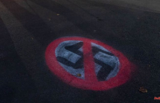 Court ruling in Braunschweig: Swastika on Facebook...