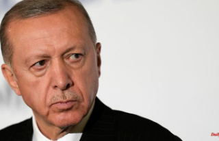 Discussion about NATO expansion: Erdogan wants to...