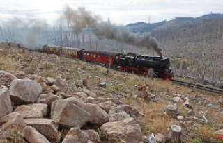 Saxony-Anhalt: Harz narrow-gauge railways suffer from...