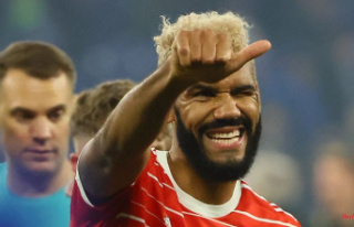 "Lions" dream of the finale: "Choupo"...