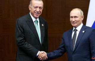 Help for countries in need: Putin and Erdogan want...