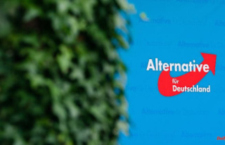 Party sees immunity violated: AfD rooms in the Bavarian...
