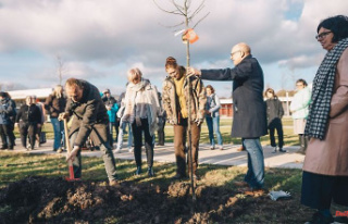 Saxony: apple trees for art: cultural project creates...