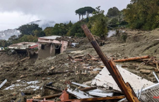 Landslides on Ischia: Italy is looking for several...