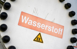 Saxony-Anhalt: State builds hydrogen economy: Minister...