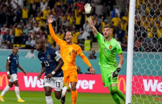 Ecuador star scores again: Netherlands miss World...
