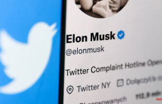 Musk's First Update Launched: Twitter Blue Tick...