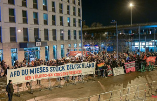 Saxony-Anhalt: Alliance protests against AfD rally
