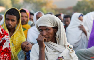 Hope for a "new beginning": Tigray rebels...