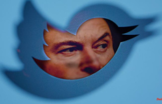 Twitter general amnesty: Musk unlocks (almost) all...