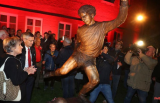 Bayern: Gerd Müller's World Cup goal now immortalized...