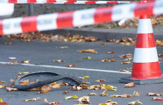 Concrete mixer accident in Berlin: cyclist continues...