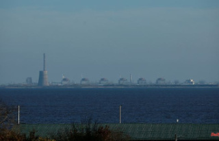 Attack on Zaporizhia nuclear plant: Nuclear experts...