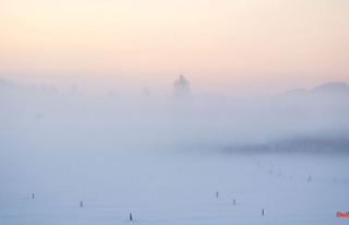 Baden-Württemberg: Fog at the beginning of the week...