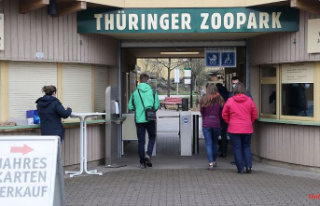 Thuringia: Zoopark: white rhinos probably died of...