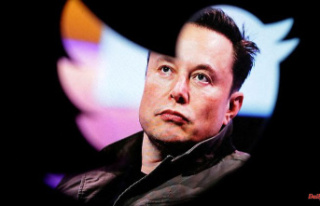 Billion hole feared: Musk does not rule out bankruptcy...