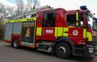 Investigator denounces grievances: London fire brigade...