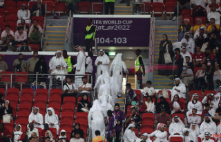 Mysterious fan group powerless: Qatar's football...