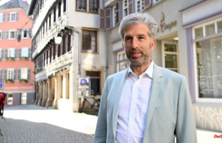Baden-Württemberg: Palmer is open to earlier rapprochement...