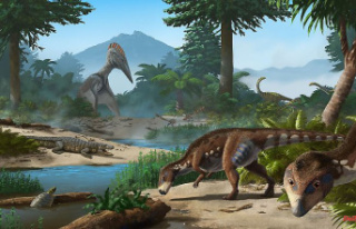 Once Tropical Island: Dinosaur Species Discovered...