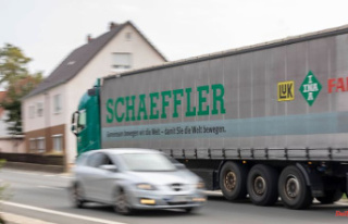 Three German plants affected: Schaeffler cuts another...