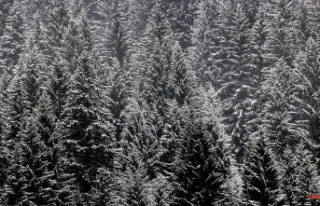 Bavaria: Snow again in the Bavarian Alps - milder...