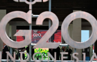 No contradiction to the G20 text: Russia probably...