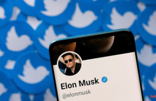 No further job cuts planned: Musk puts the new Twitter...