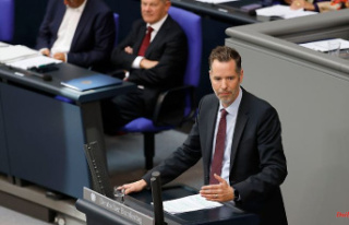 FDP against additional burdens: Traffic light argues...