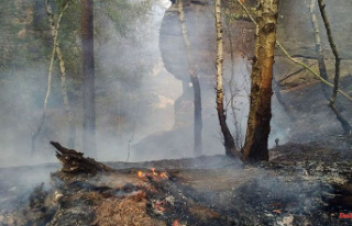 Saxony: State Office: Forest fire clouded tourism...