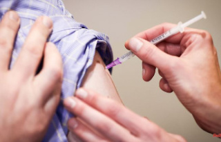 Baden-Württemberg: Fewer vaccinations against human...