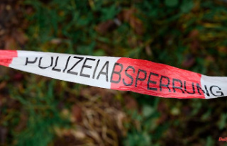 Bavaria: hit by a branch: forest workers died in an...