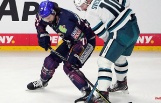 Bavaria: Augsburg Panthers get ice hockey striker...