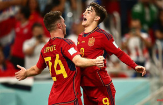 Spain in the wildest World Cup frenzy: seven fearmongers...